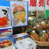 沖縄に夏が来た！梅雨明けのタイミングでおんなの駅　2017年のマンゴー通販予約が始まっています