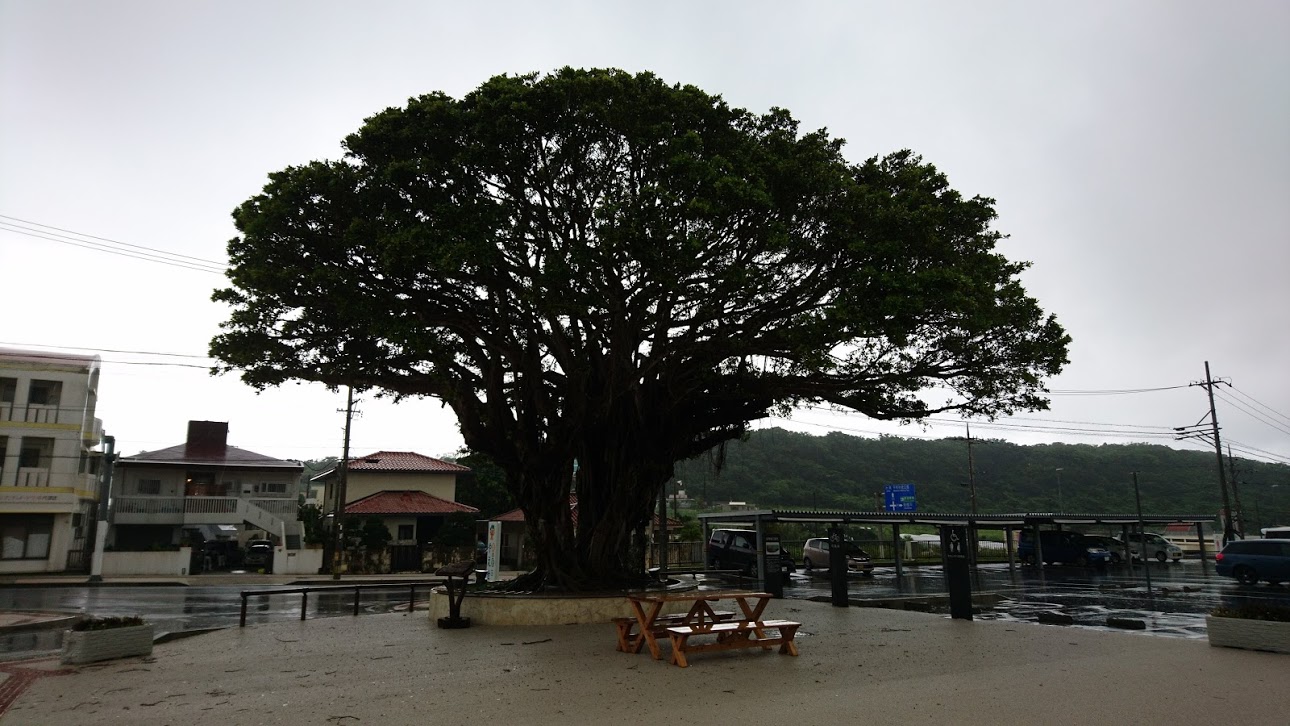 雨・雨・雨の沖縄4泊5日　記事一覧と振り返り　Jul,2018